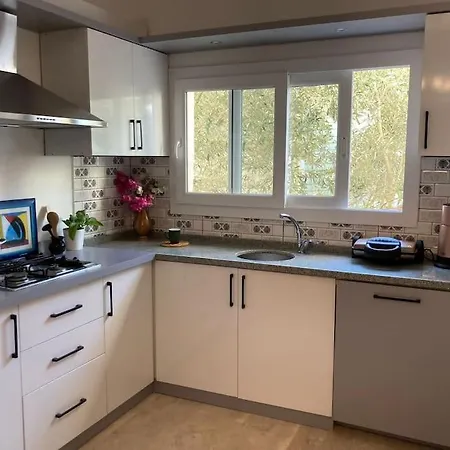 Lejlighed Asli's Homes - Olive Branch Marmaris